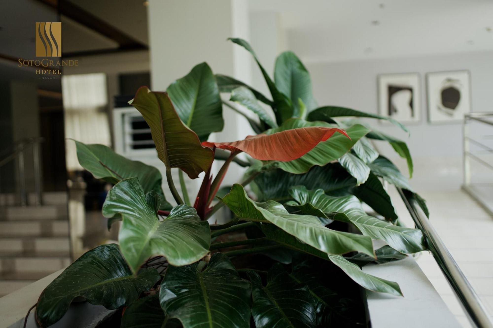 Sotogrande Davao Hotel Bagian luar foto